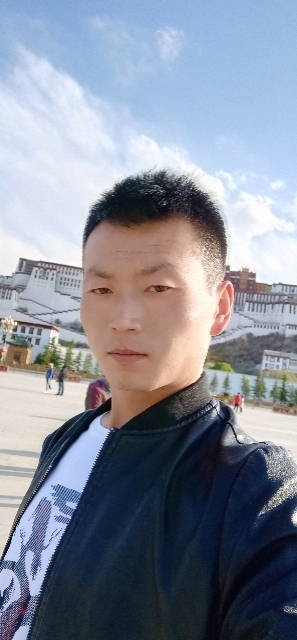 阳光下的小草的第一张照片--永登认干亲服务网